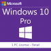 Windows 10 Professional